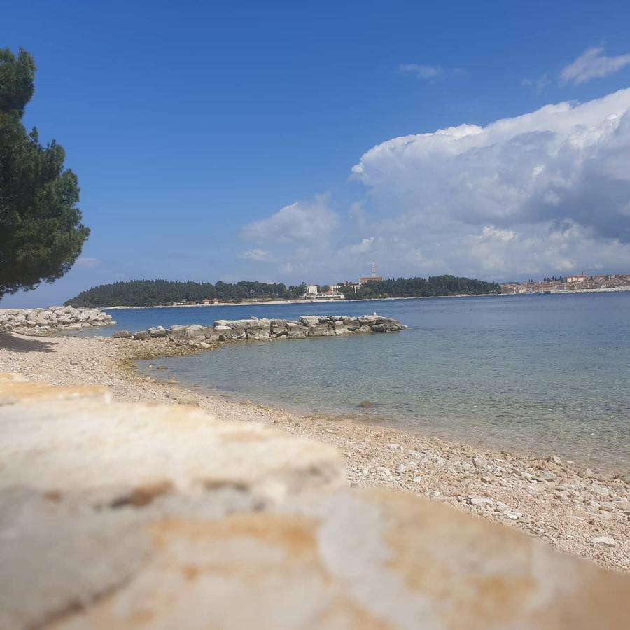 Vila Tena Rovinj Croatia Екстериор снимка