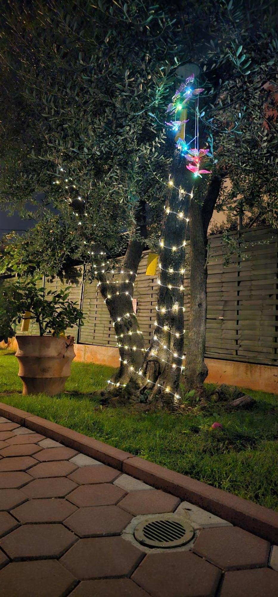 Vila Tena Rovinj Croatia Екстериор снимка